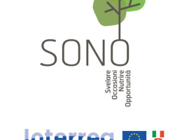 Logo SONO